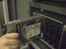 server_compaq_festplatte1