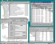 Windows Server-Administration